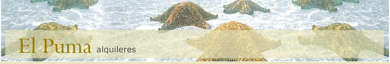 lasgrutas
